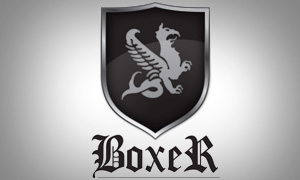 Logo Design for Boxer Apparel